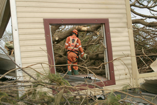 Best Utility Line Clearance  in Lancaster, OH